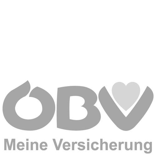 ÖBV Österreichische Beamtenversicherung